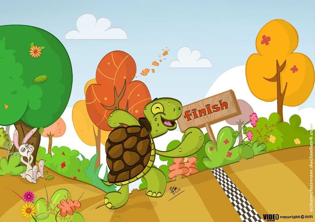 The Rabbit and the Turtle Race🐰